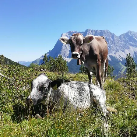 Gaestehaus Wilhelmshof 3*